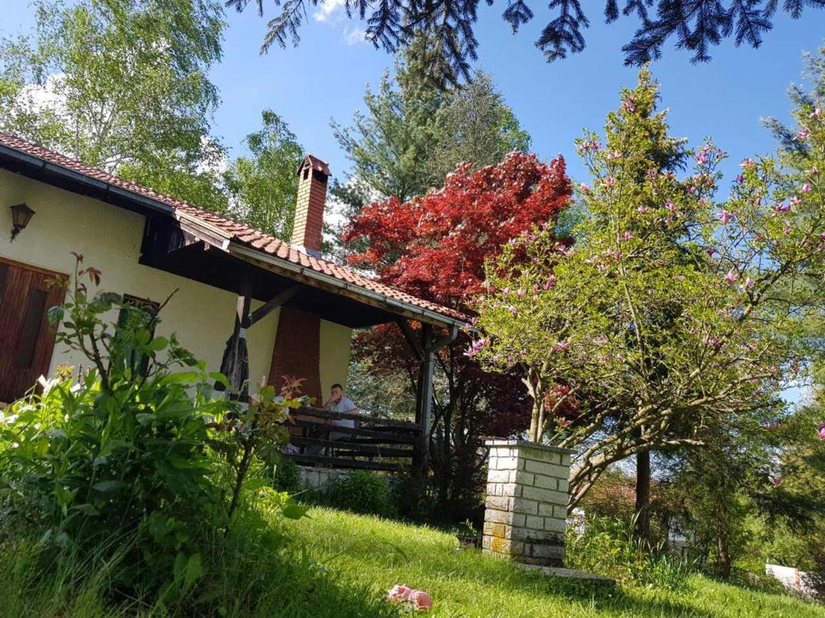 Takovo - Odmor U Selu Villa Gornji Milanovac Exterior photo