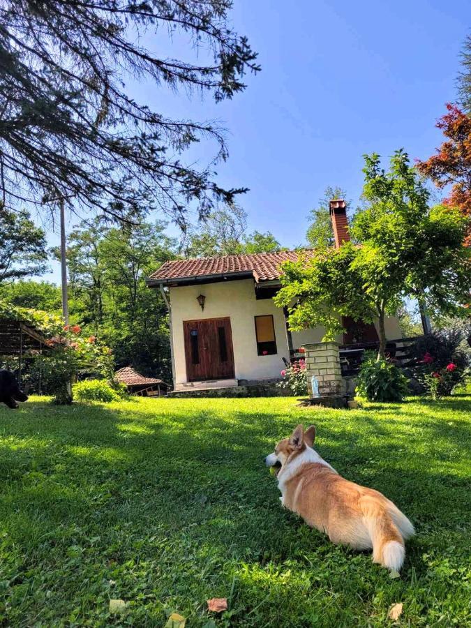 Takovo - Odmor U Selu Villa Gornji Milanovac Exterior photo